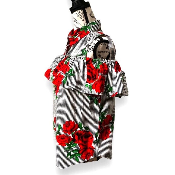 Hint of Blush XL Cold Shoulder Blouse Stripe Red Floral Ruffle Cotton Summer Top - Picture 5 of 9